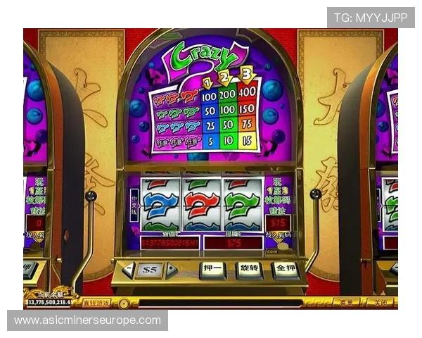 实用老虎机攻略策略，帮助玩家优化投注方案实现盈利目标