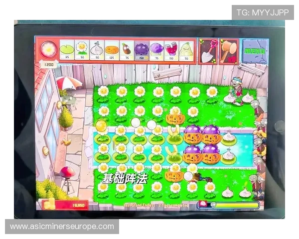 全面解析金猴爷老虎机刷金币的实用技巧，助你在游戏中轻松获得大量金币